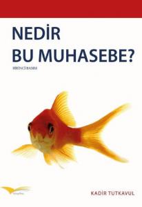Nedir Bu Muhasebe