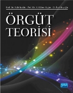 Örgüt Teorisi