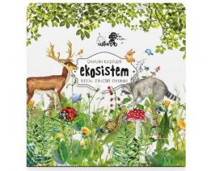 Orman Kaşifleri - Ekosistem