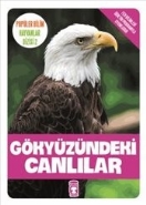 Popüler Bilim Hayvanlar Dizisi-2 Gökyüzündeki Canlılar