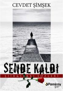 Sende Kaldı; Şiir - Şarkı Sözleri