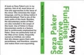 Seza Paker Reflexive Fluidities