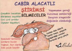 Şiirimsi Bilmeceler; Mizah Dizisi