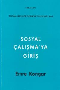 Sosyal Çalışmaya Giriş