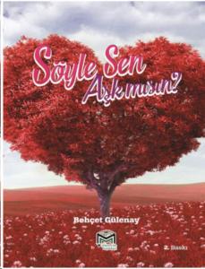 Söyle Sen Aşk mısın?