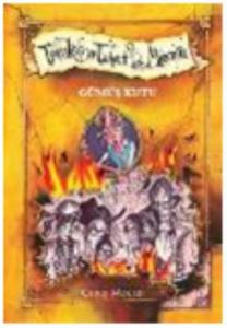 Tehlikeli ve Tuhaf Bir Macera - Gümüş Kutu (Ciltli)