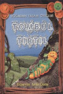 Tombul Tırtıl