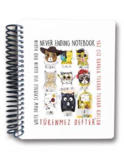 Tükenmez Not Defteri 4 Ressam Kediler