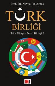 Türk Birliği; Türk Dünyası Nasıl Birleşir?