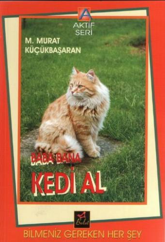 Baba Bana Kedi Al; Baba Bana Kedi Al Bilmeniz Gereken Herşey