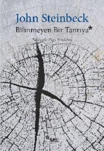 Bilinmeyen Bir Tanrıya