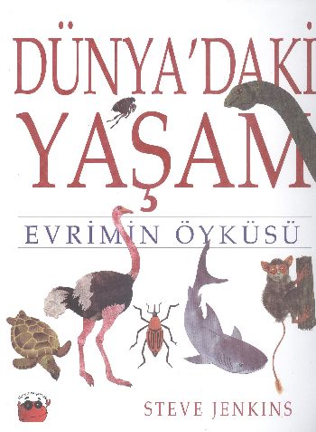 Dünya'daki Yaşam