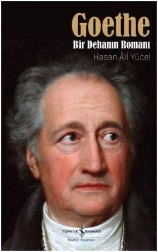 Goethe Hasan Ali Yücel