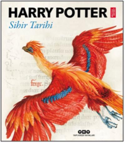 Harry Potter-Sihir Tarihi Sally Griffin