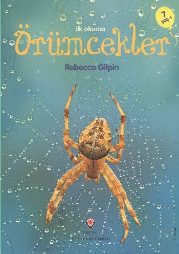 İlk Okuma Örümcekler 7 Yaş Rebecca Gilpin
