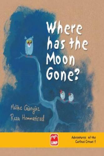 Where Has The Moon Gone? Reza Hemmatirad