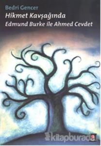 Hikmet Kavşağında - Edmund Burke ile Ahmed Cevdet