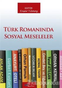 Türk Romanında Sosyal Meseleler