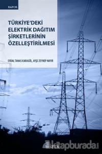 Türkiye'deki Elektrik Dağıtım Şirketlerinin Özelleştirilmesi