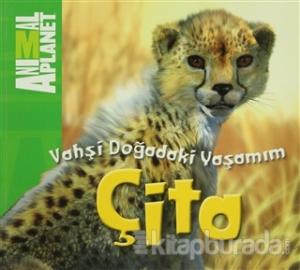 Vahşi Doğadaki Yaşamım: Çita