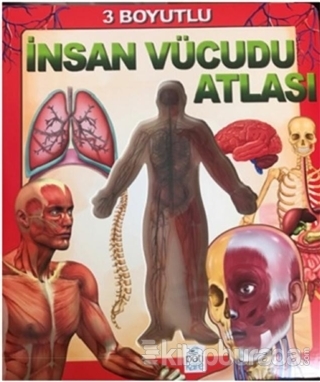 3 Boyutlu İnsan Vücudu Atlası Kolektif
