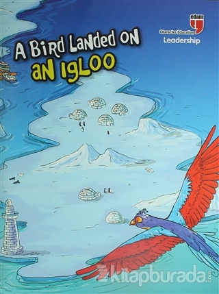 A Bird Landed on an Igloo - Leadership Neriman Karatekin