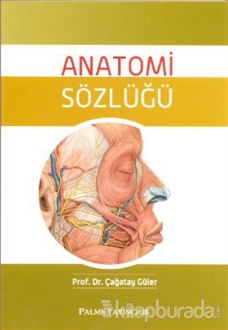 Anatomi Sözlüğü