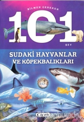 Bilmen Gereken 101 Şey - Sudaki Hayvanlar ve Köpekbalıkları Kolektif