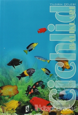 Cichlid Balıkları