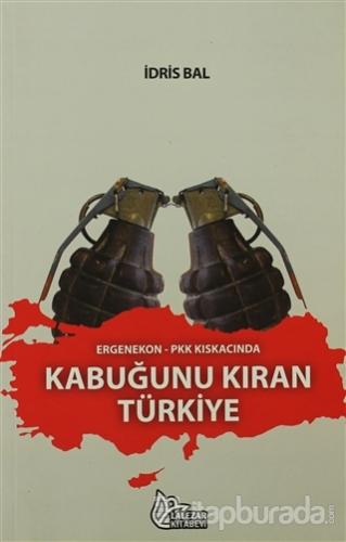 Ergenekon-PKK Kıskacında Kabuğunu Kıran Türkiye