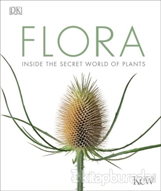 Flora: Inside The Secret World of Plants (Ciltli)