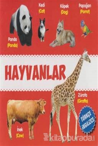 Hayvanlar Türkçe-İngilizce