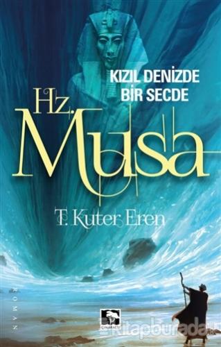 Hz.Musa