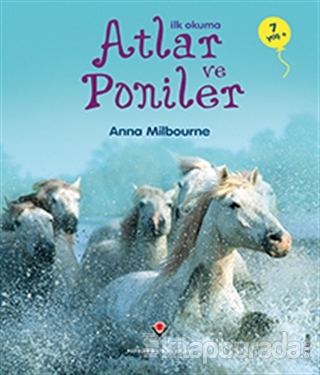 İlk Okuma - Atlar ve Poniler