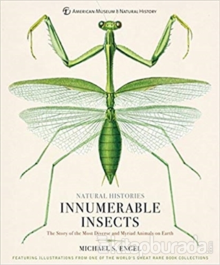 Innumerable Insects (Ciltli) Michael S. Engel