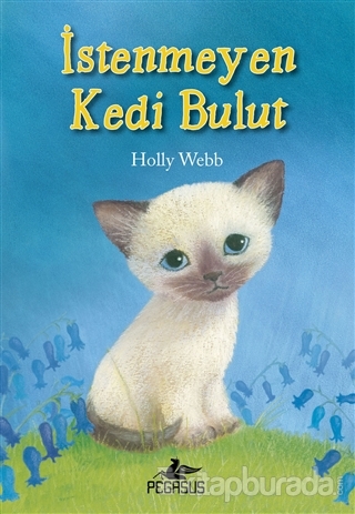 İstenmeyen Kedi Bulut Holly Webb