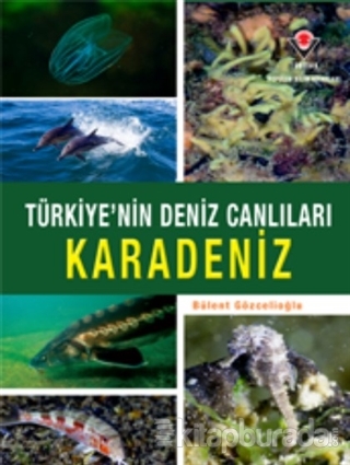 Karadeniz - Türkiye'nin Deniz Canlıları (Ciltli)