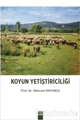 Koyun Yetiştiriciliği Mehmet Koyuncu