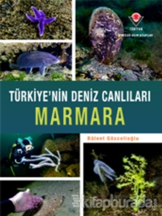 Marmara - Türkiye'nin Deniz Canlıları (Ciltli) Bülent Gözcelioğlu