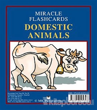Miracle Flashcards - Domestic Animals Kolektif