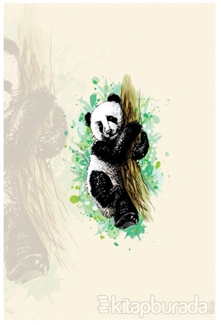 Panda Defter Ciltli