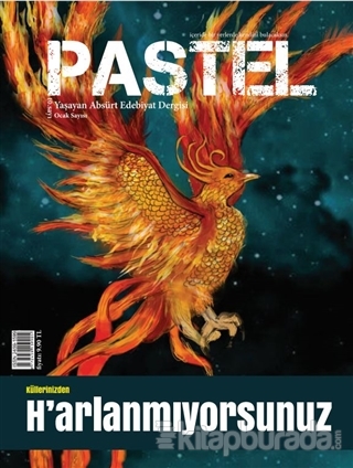 Pastel Edebiyat Dergisi Sayı: 10 Kolektif