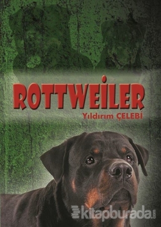 Rottweiler Yıldırım Çelebi