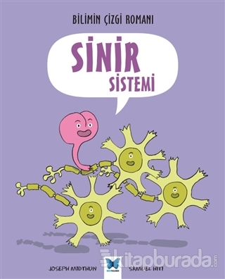 Sinir Sistemi
