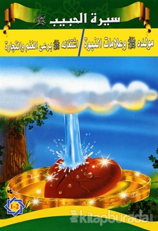 Siretü'l-Habib (5 Kitap Takım) Tacettin Uzun