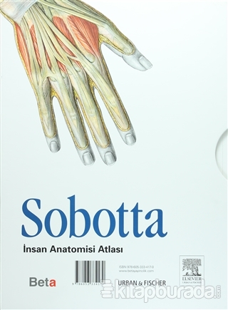 Sobotta İnsan Anatomisi Atlası (3 Cilt Takım) (Ciltli)