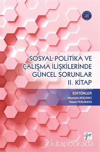 Sosyal Politika ve Çalışma İlişkilerinde Güncel Sorunlar 2. Kitap