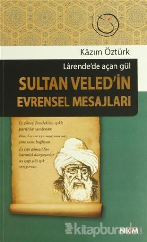 Sultan Veled'in Evrensel Mesajları