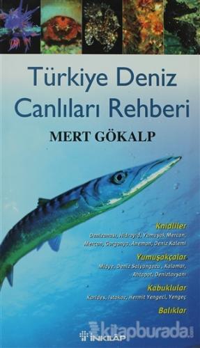 Türkiye Deniz Canlıları Rehberi %30 indirimli Mert Gökalp