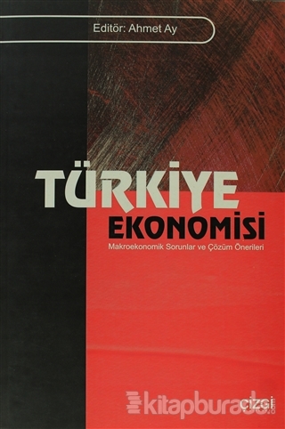 Türkiye Ekonomisi Ahmet Ay